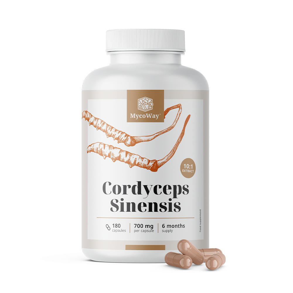 Cordyceps sinensis 1400 mg - εκχύλισμα 10:1