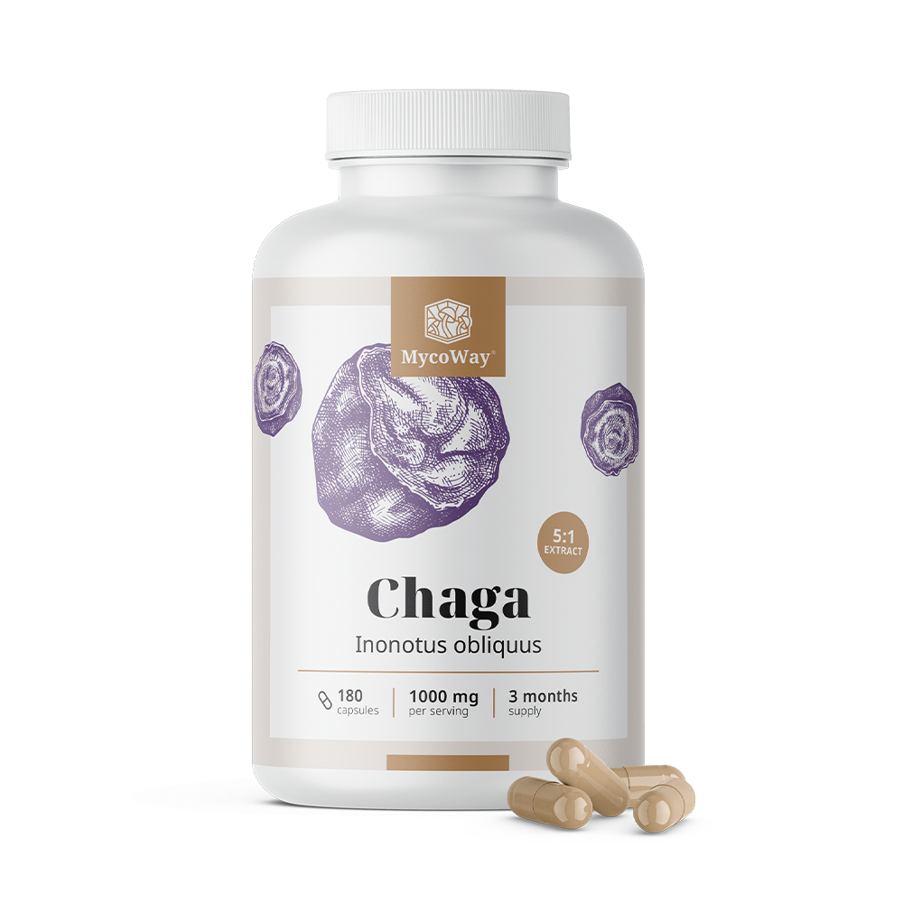 Chaga 1000 mg - εκχύλισμα 5:1