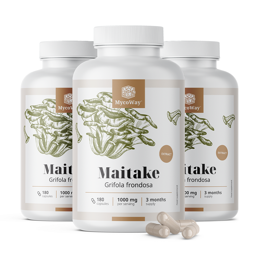 Maitake 1000 mg – εκχύλισμα