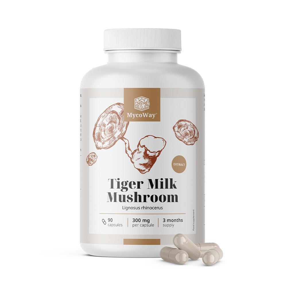 Tiger Milk 300 mg – εκχύλισμα μανιταριού Lignosus rhinocerus