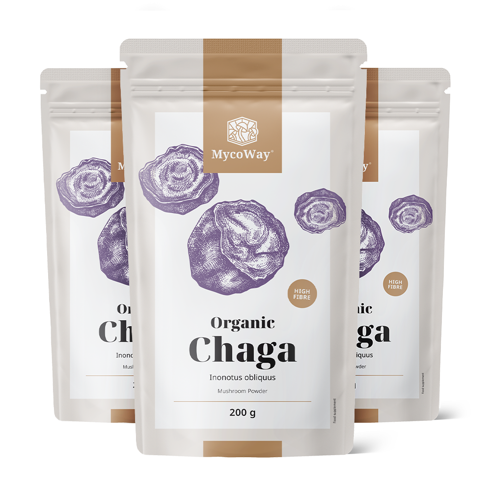 BIO Chaga v prahu